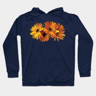 Daisies - Group of Yellow Gerbera Daisies Hoodie